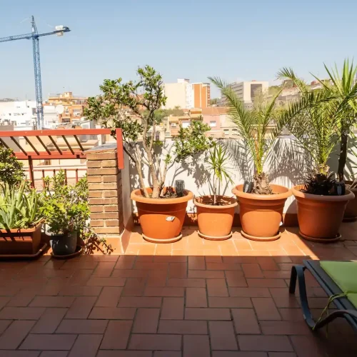 2267be74-387e-4f17-b926-4bdb5138c85e